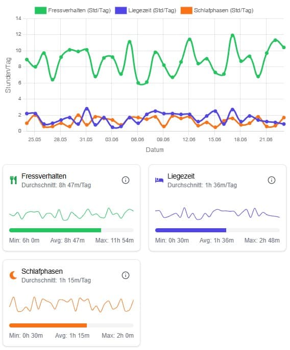 Statistik Dashboard